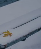 Képernyőkép 2024-12-20 125559.jpg